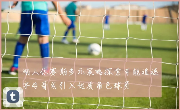 湖人休赛期多元策略探索可能追逐字母哥或引入优质角色球员