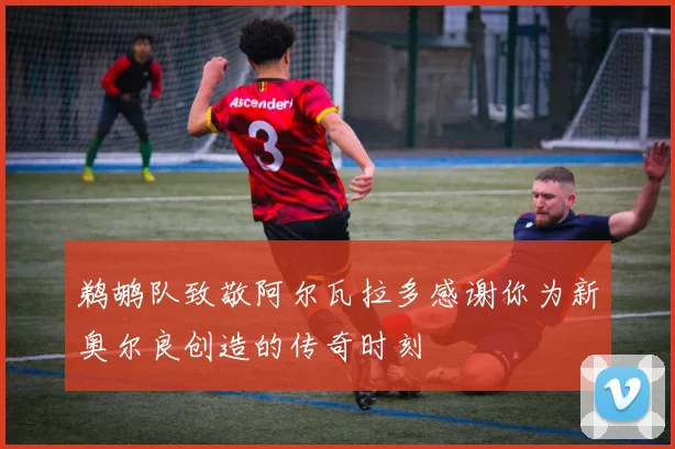 鹈鹕队致敬阿尔瓦拉多感谢你为新奥尔良创造的传奇时刻