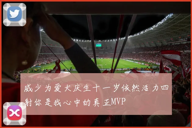 威少为爱犬庆生十一岁依然活力四射你是我心中的真正MVP