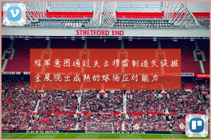 绿军意图通过夹击穆雷制造失误掘金展现出成熟的球场应对能力