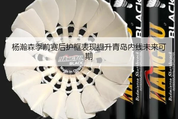 杨瀚森季前赛后护框表现提升青岛内线未来可期 - SabaSports